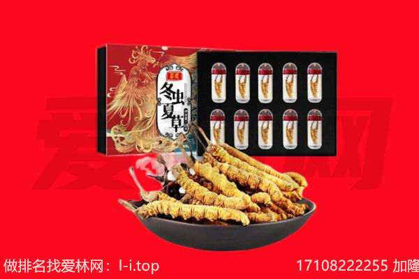 山南市曲松县回收虫草.jpg